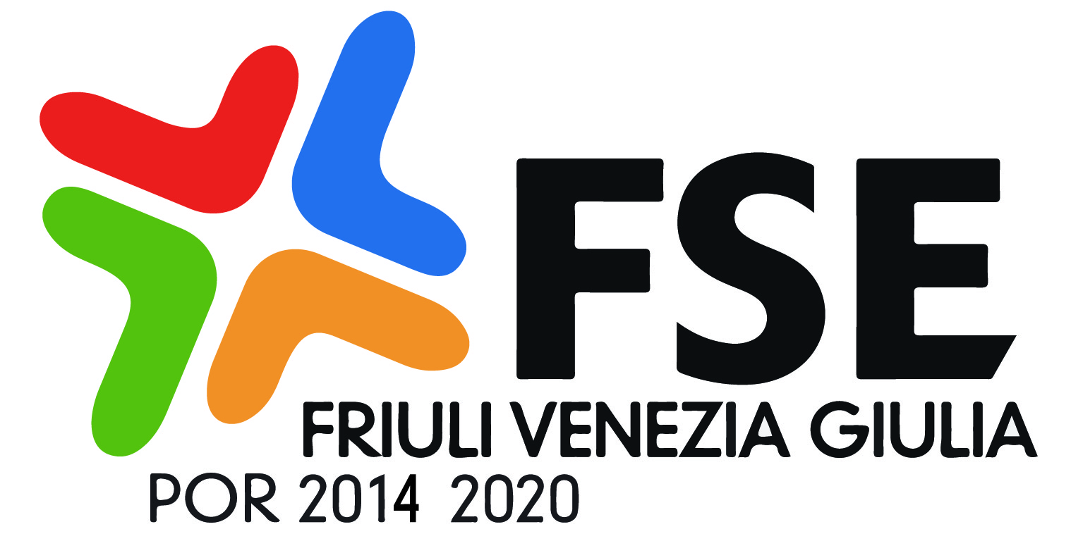 FSE fvg 2014-20