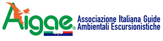  -AIGAE - LOGO